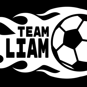 Team Page: Team Liam